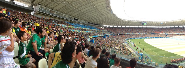内斯